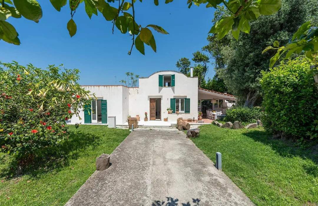 Villa Morea&Rooms in Procida-1